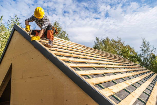 Best Storm Damage Roof Repair  in Tavares, FL