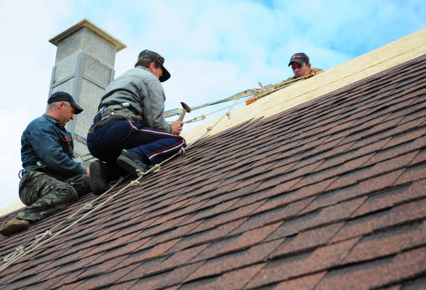 Best Roof Gutter Cleaning  in Tavares, FL