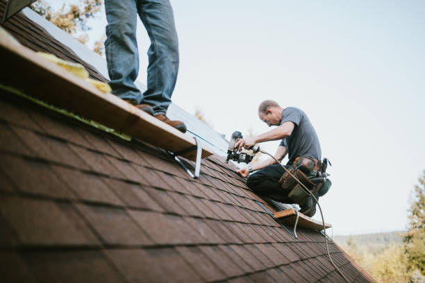 Quick and Trustworthy Emergency Roof Repair Services in Tavares, FL