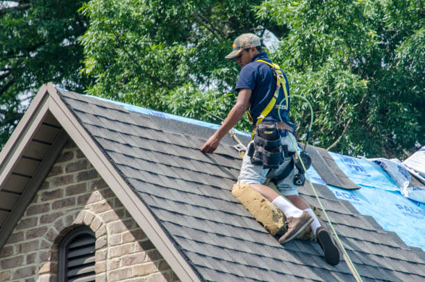 Quick and Trustworthy Emergency Roof Repair Services in Tavares, FL